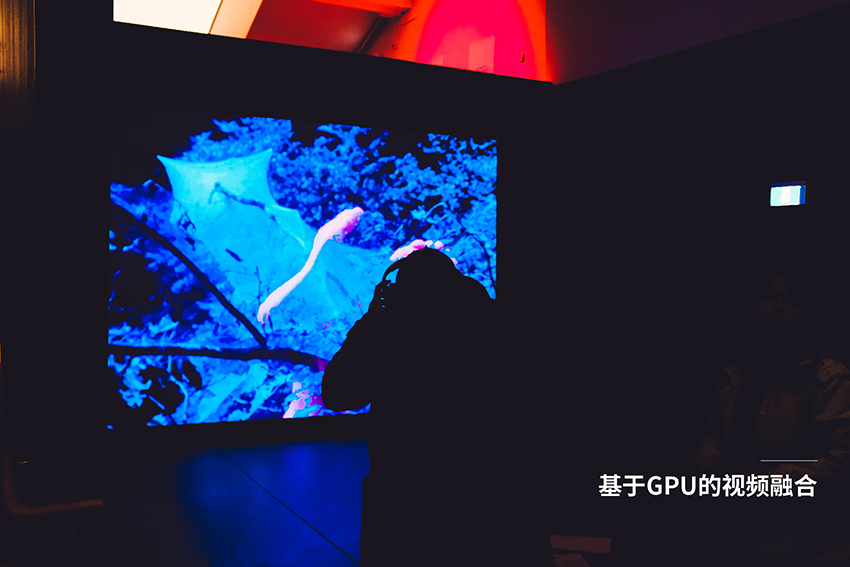 基于GPU的视频融合系统